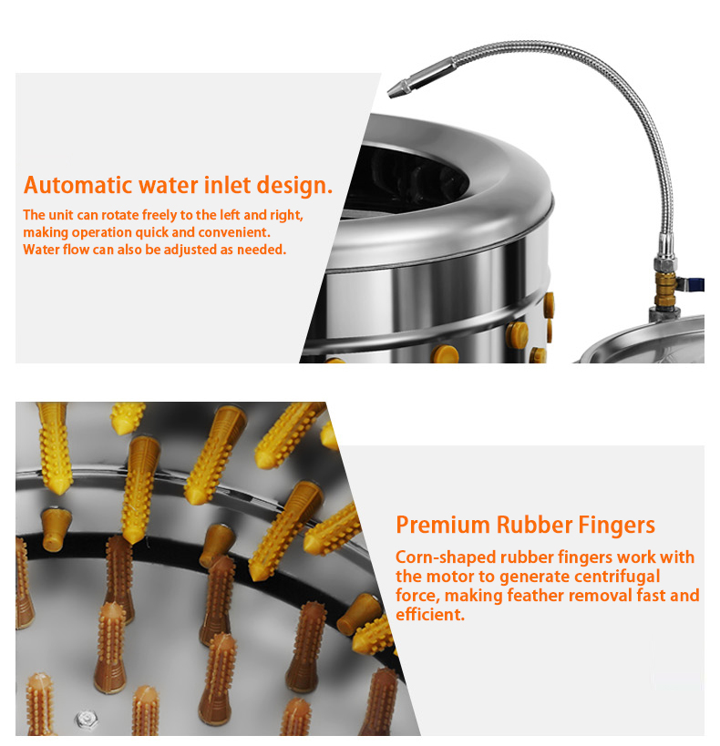 chicken defeathering equipment