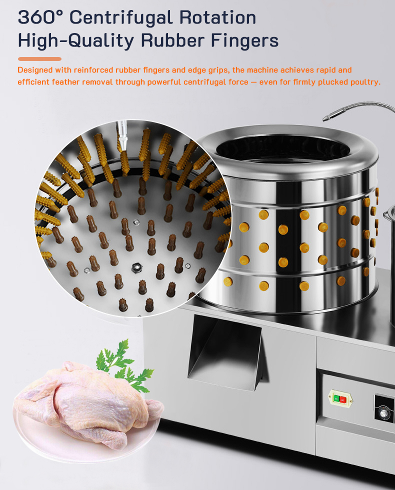 Achicken processing machine scald pluck combo
